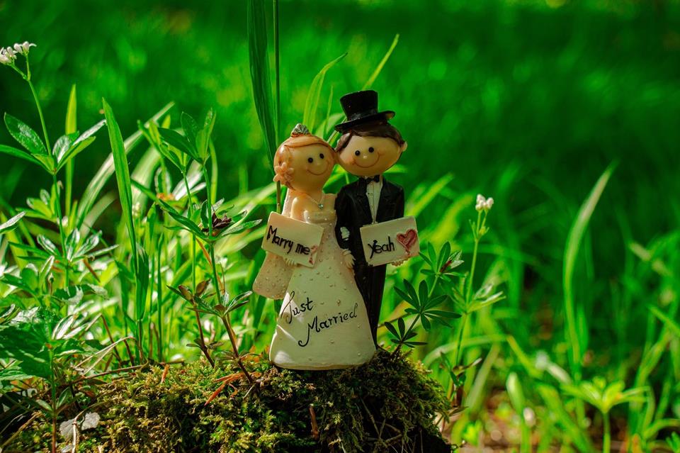 Married Couple jigsaw puzzle