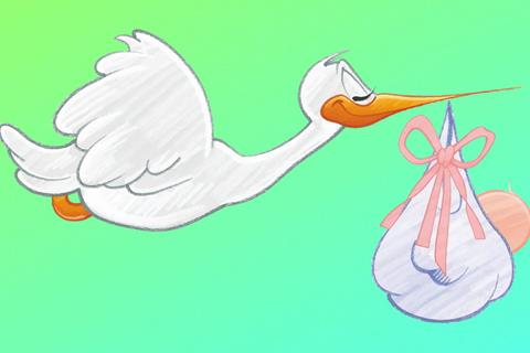 Stork Bringing Baby jigsaw puzzle