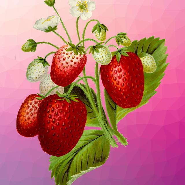 Red Strawberries jigsaw puzzle