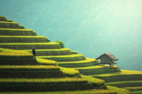 Agriculture jigsaw puzzle