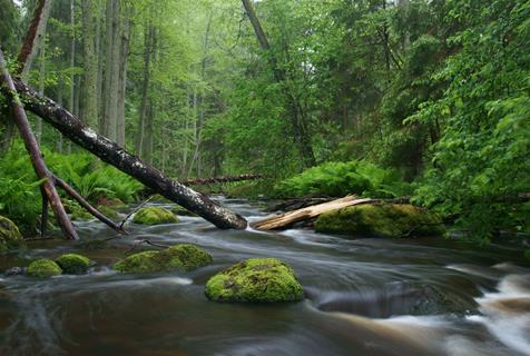 Altja River Estonia jigsaw puzzle