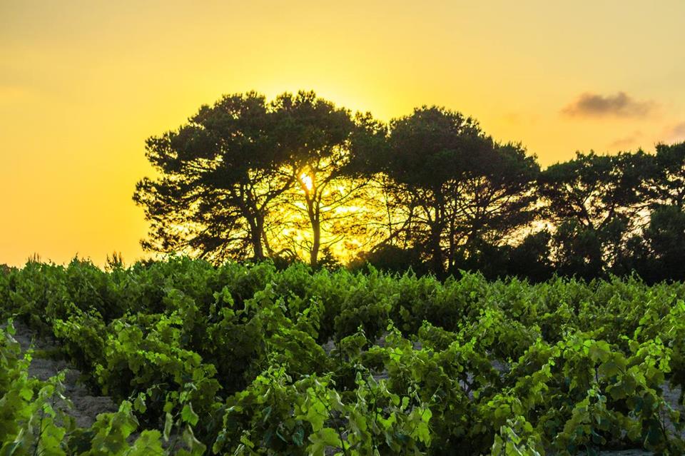 Baleares Blue Mediterranean jigsaw puzzle