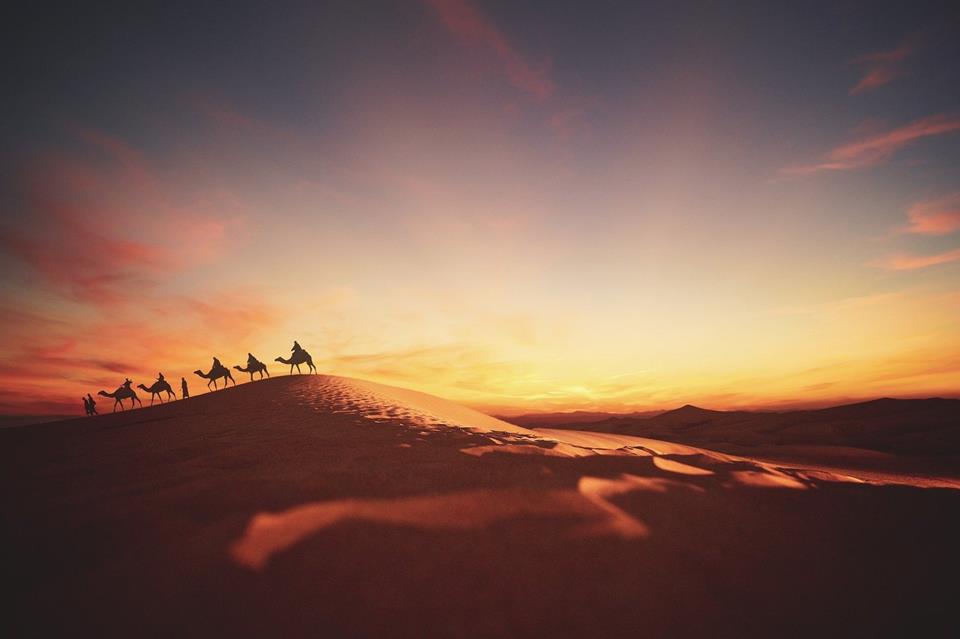 Caravan In The Desert jigsaw puzzle