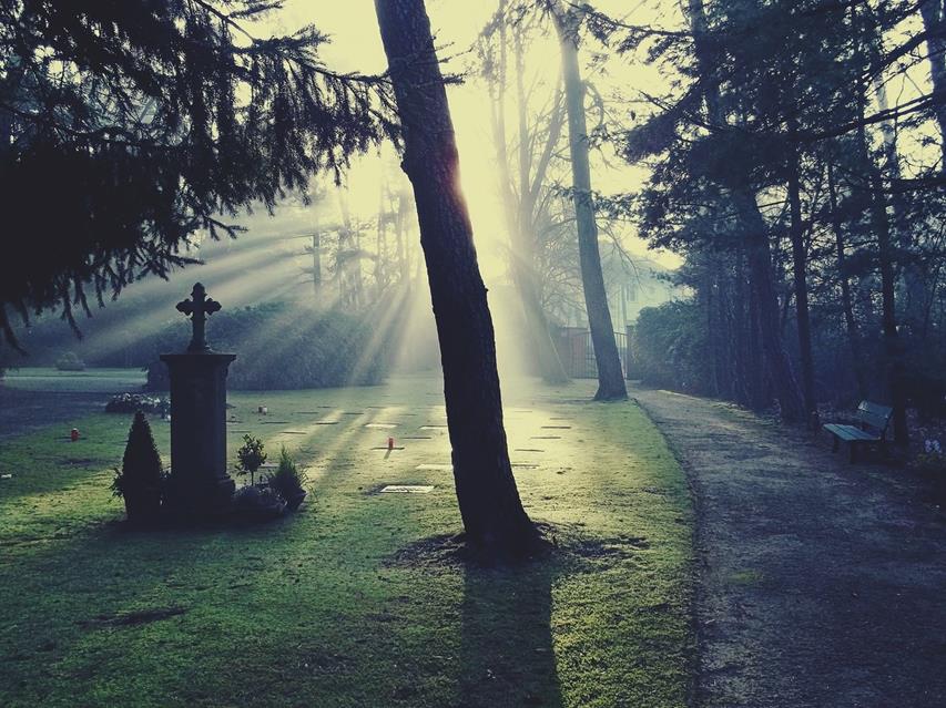 Foggy Graveyard jigsaw puzzle