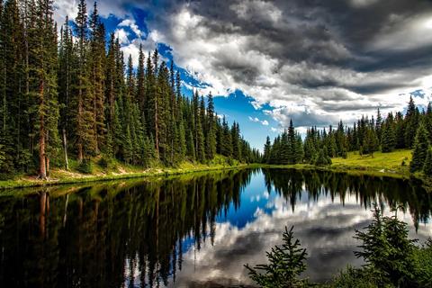 Lake Irene jigsaw puzzle
