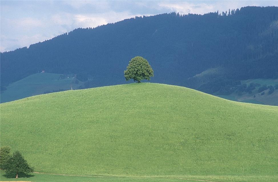 Hill Station jigsaw puzzle