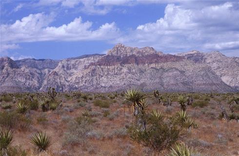 Red Rock Canyon jigsaw puzzle