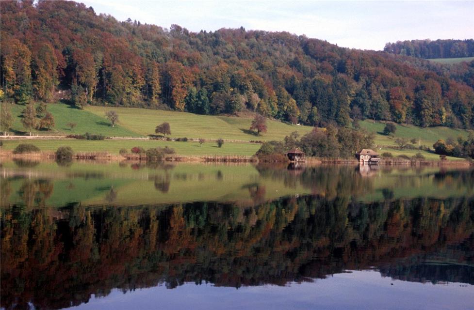 Symmetrical Reflection Of A Landscape jigsaw puzzle
