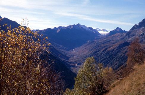 A Long Valley jigsaw puzzle