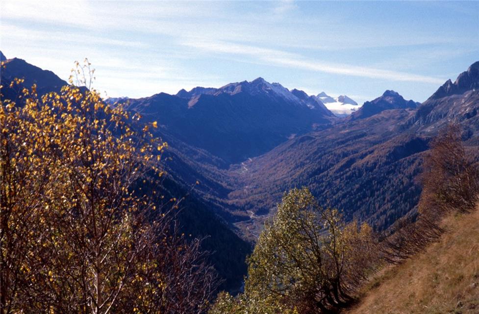 A Long Valley jigsaw puzzle