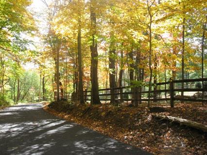 Natural Landscape jigsaw puzzle