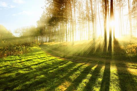 Sunrays jigsaw puzzle