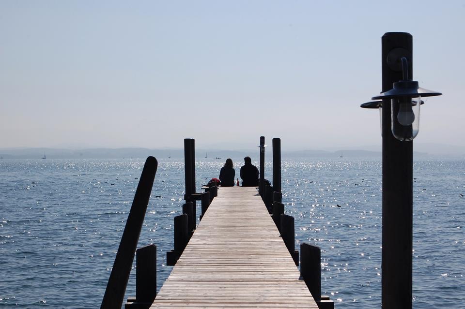 Pair By The Lake jigsaw puzzle