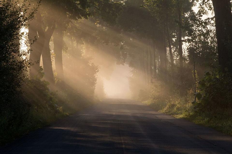 Road With Fog In The Sunrise jigsaw puzzle