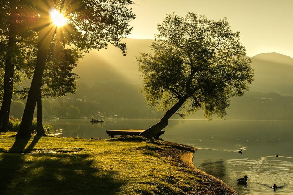 Sunlight By The Lake jigsaw puzzle