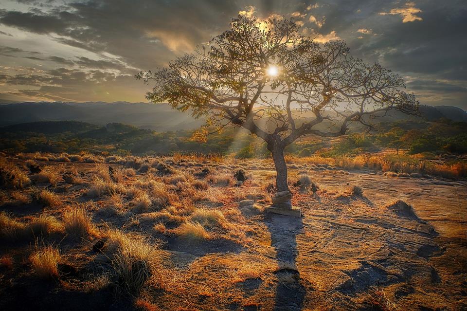 Sunset On Dry Landscape jigsaw puzzle
