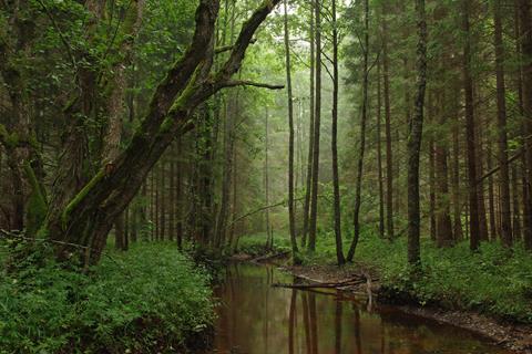 Tarvasjõgi jigsaw puzzle