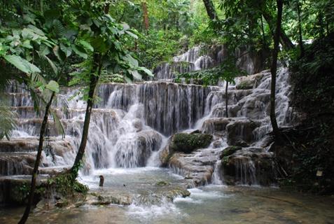 Zona Arqueológica Palenque jigsaw puzzle