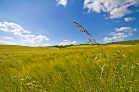 Israel Landscapes jigsaw puzzle