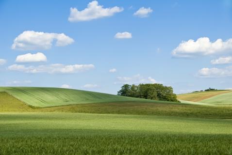 Over The Horizon jigsaw puzzle