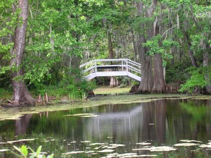 Lake White Bridge jigsaw puzzle