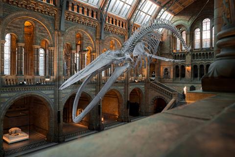 National History Museum jigsaw puzzle