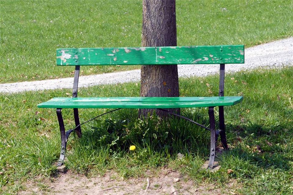 A Green Wooden Bench jigsaw puzzle
