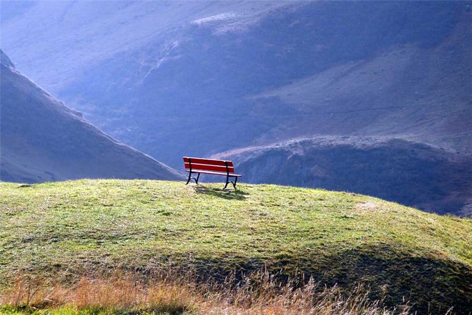A Bench In The Middle jigsaw puzzle