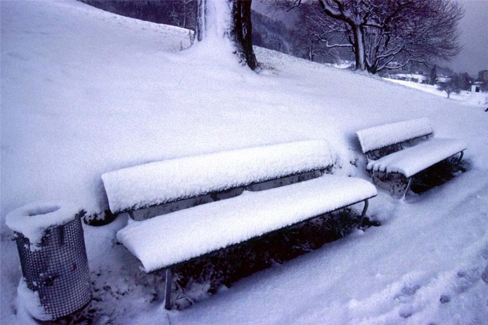 Winter Bench jigsaw puzzle