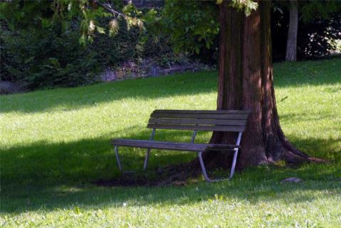 Wooden Bench jigsaw puzzle