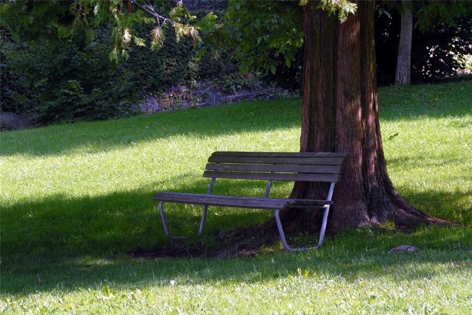 Wooden Bench jigsaw puzzle