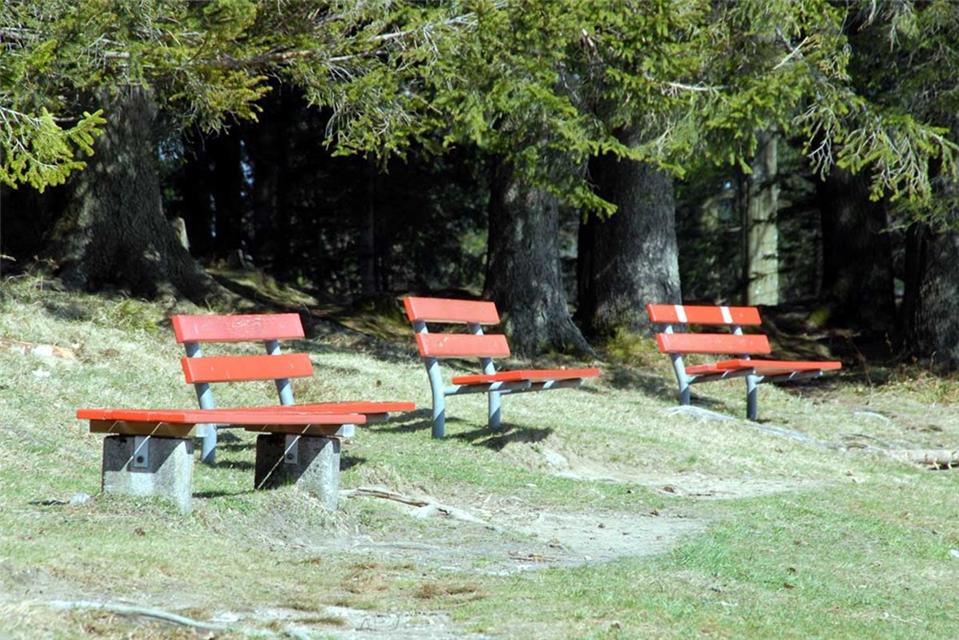 Four Benches jigsaw puzzle