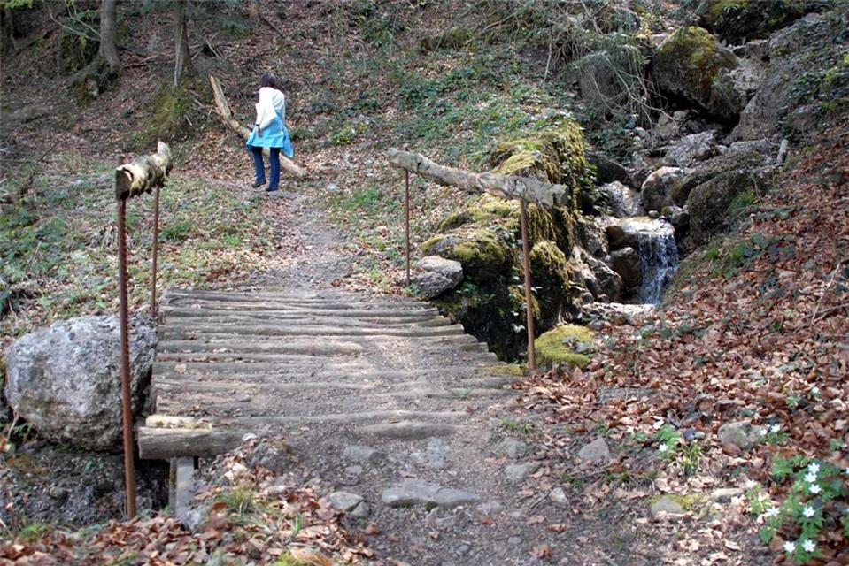 Log Bridge jigsaw puzzle