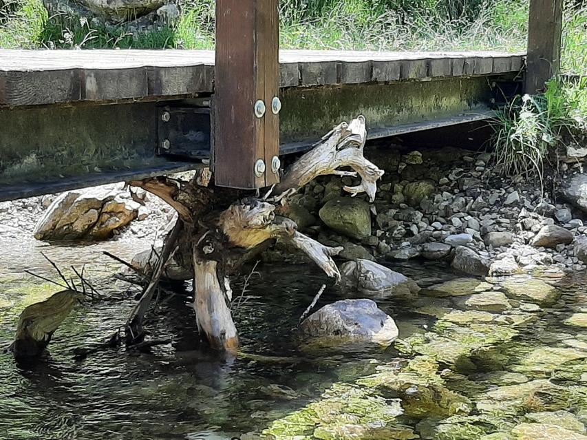 Tree Branch Holding Bridge jigsaw puzzle