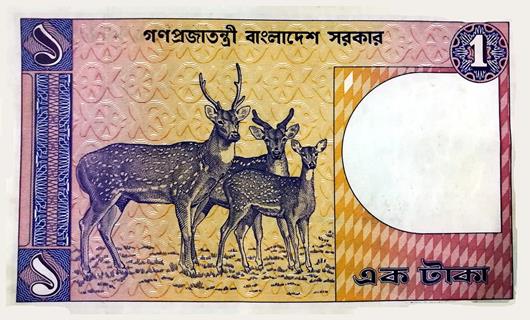 Bangladeshi Taka jigsaw puzzle