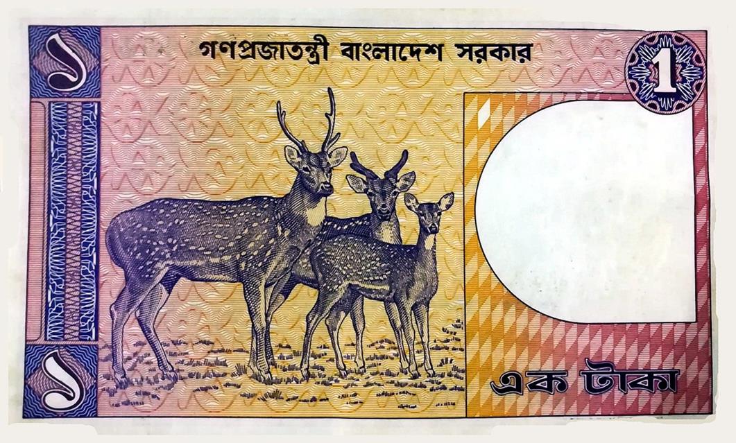 Bangladeshi Taka jigsaw puzzle