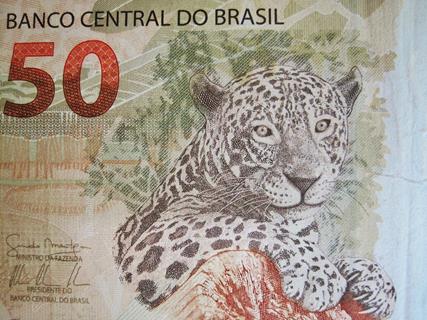 Brazil Money  jigsaw puzzle