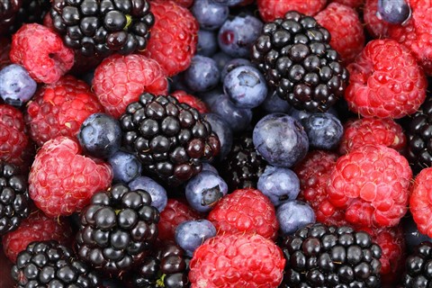 Assorted Berries jigsaw puzzle