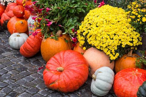 Autumn Motives jigsaw puzzle