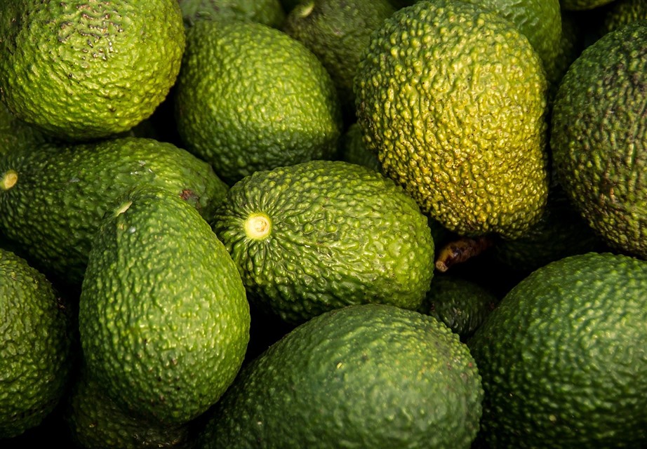 Avocados jigsaw puzzle