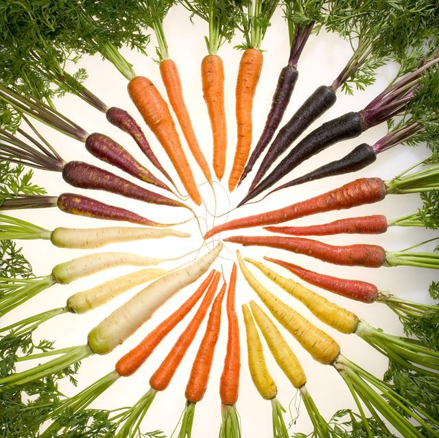 Colorful Carrots jigsaw puzzle