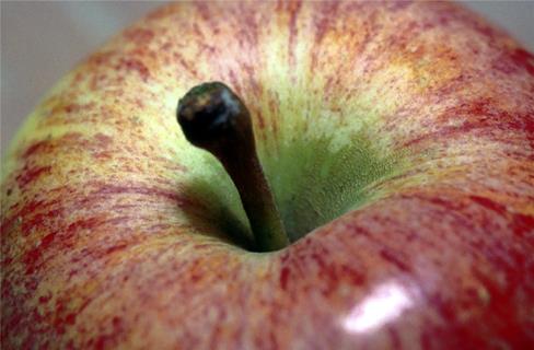 Apple jigsaw puzzle
