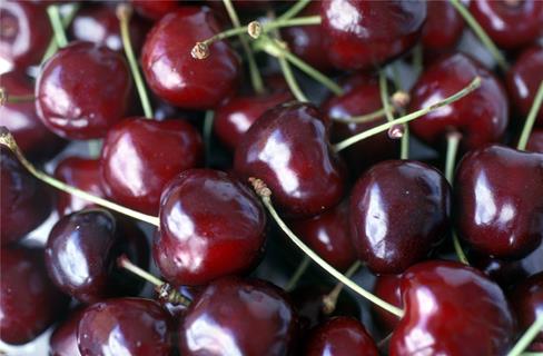 Lubeg Fruit jigsaw puzzle