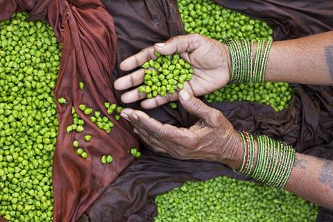 Green Peas Merchant jigsaw puzzle