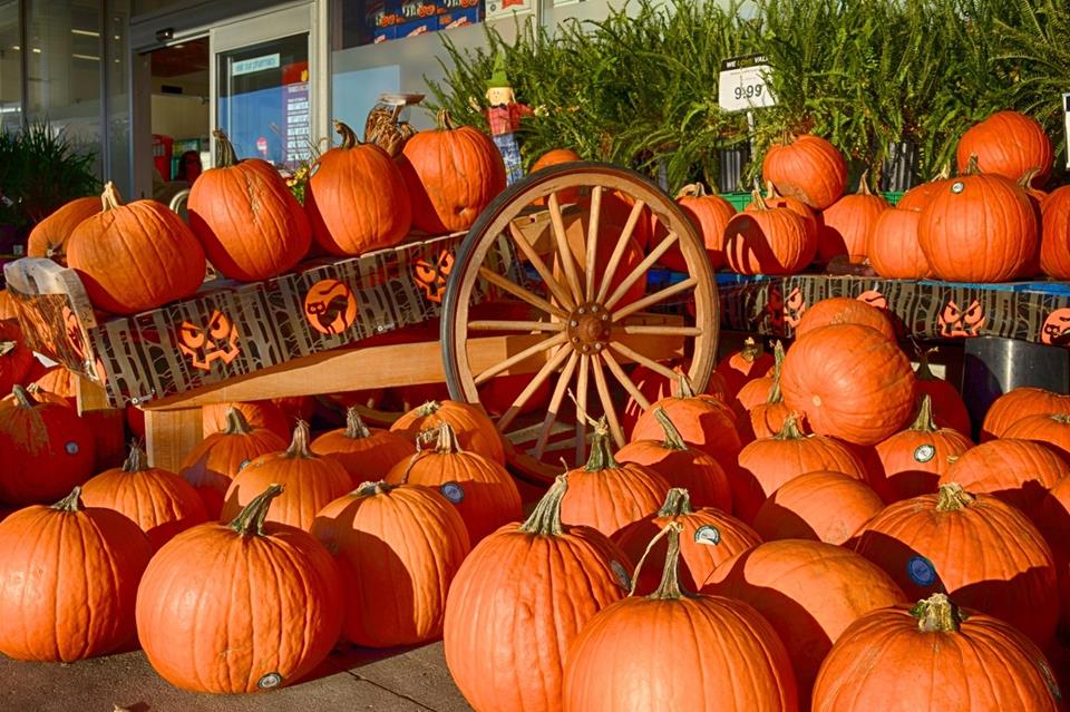 Pumpkin Sale jigsaw puzzle