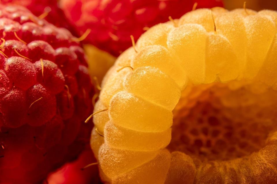 Raspberries Close Up jigsaw puzzle