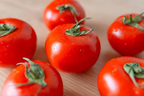 Red Tomatos jigsaw puzzle