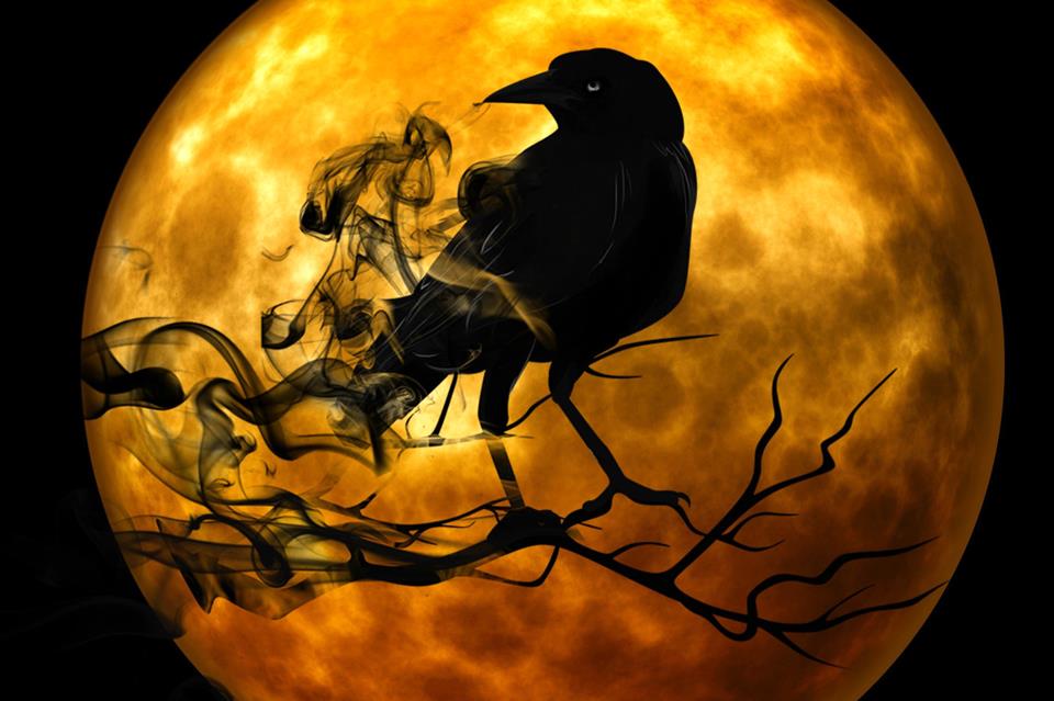 Crow On Full Moon jigsaw puzzle