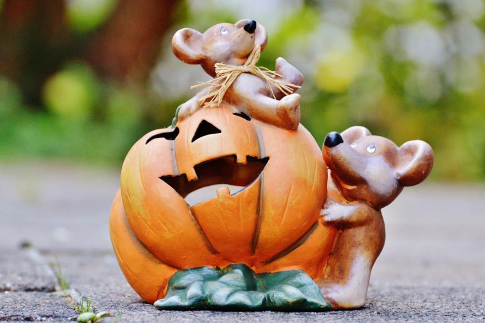 Halloween Knick Knacks jigsaw puzzle