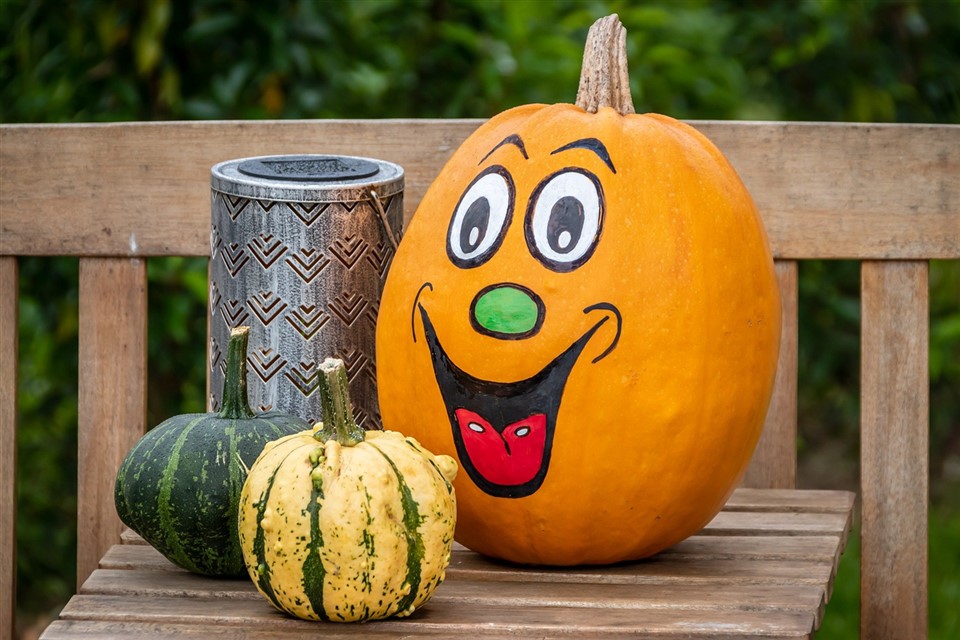 Pumpkin Halloween Decoration jigsaw puzzle